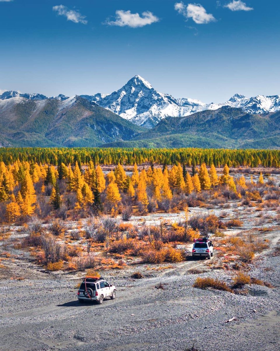 Намрын улиралд оршин буй
Хорьдол сарьдаг нурууны Дэлгэрхаан уул, Ар босготын хавцал.

Batsukh photographer