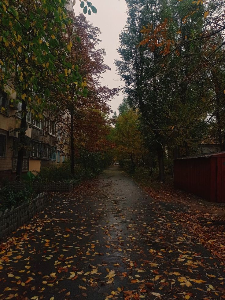 elemmiressoul's tweet photo. cozy autumn. https://t.co/XnGyWEdi8L