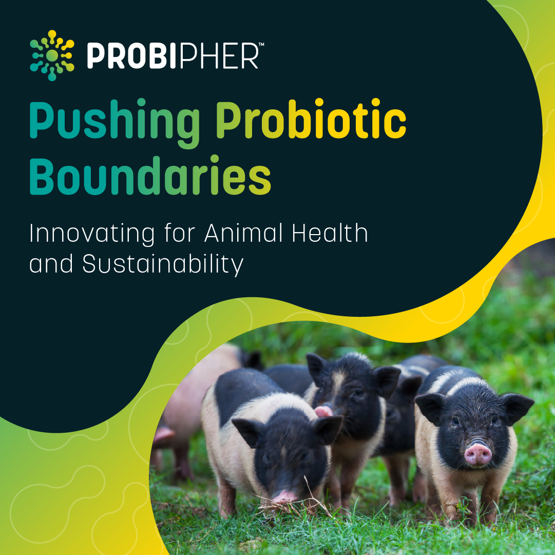 At Probipher, we're passionate about pushing the boundaries of probiotic research.

Our dedicated scientists constantly explore new frontiers, developing innovative solutions to improve animal health, nutrition, and sustainability.

#Probipher #Probiotics #Enzymes