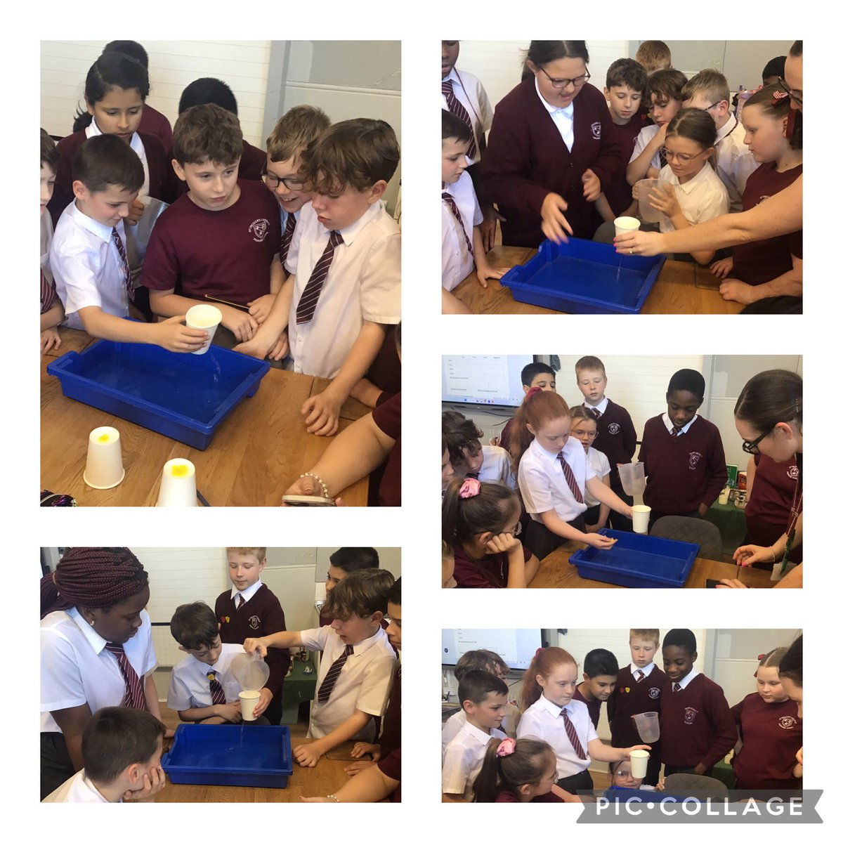 StCeciliascjs's tweet photo. Year 6 enjoyed investigating the size of different blood vessels in the circulatory system.  #StCeciliasScience https://t.co/v0SehDGm5d