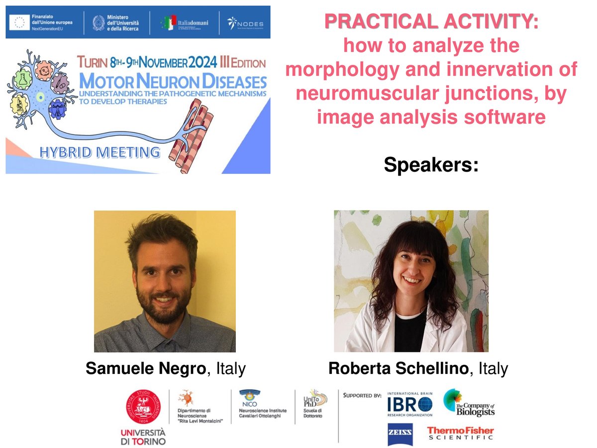 The practical activity of this edition is devoted to the use of an image analysis software to analyze the morphology and innervation of neuromuscular junctions! We already thank our great instructors: <a href="/samuscientist/">Samuele Negro</a> and <a href="/Robi_Schellins/">Roberta Schellino</a> 🧑‍💻👩‍💻 
<a href="/MarinaBoido80/">Marina Boido</a> <a href="/newronico/">NewroNico Brain Development and Disease group</a>