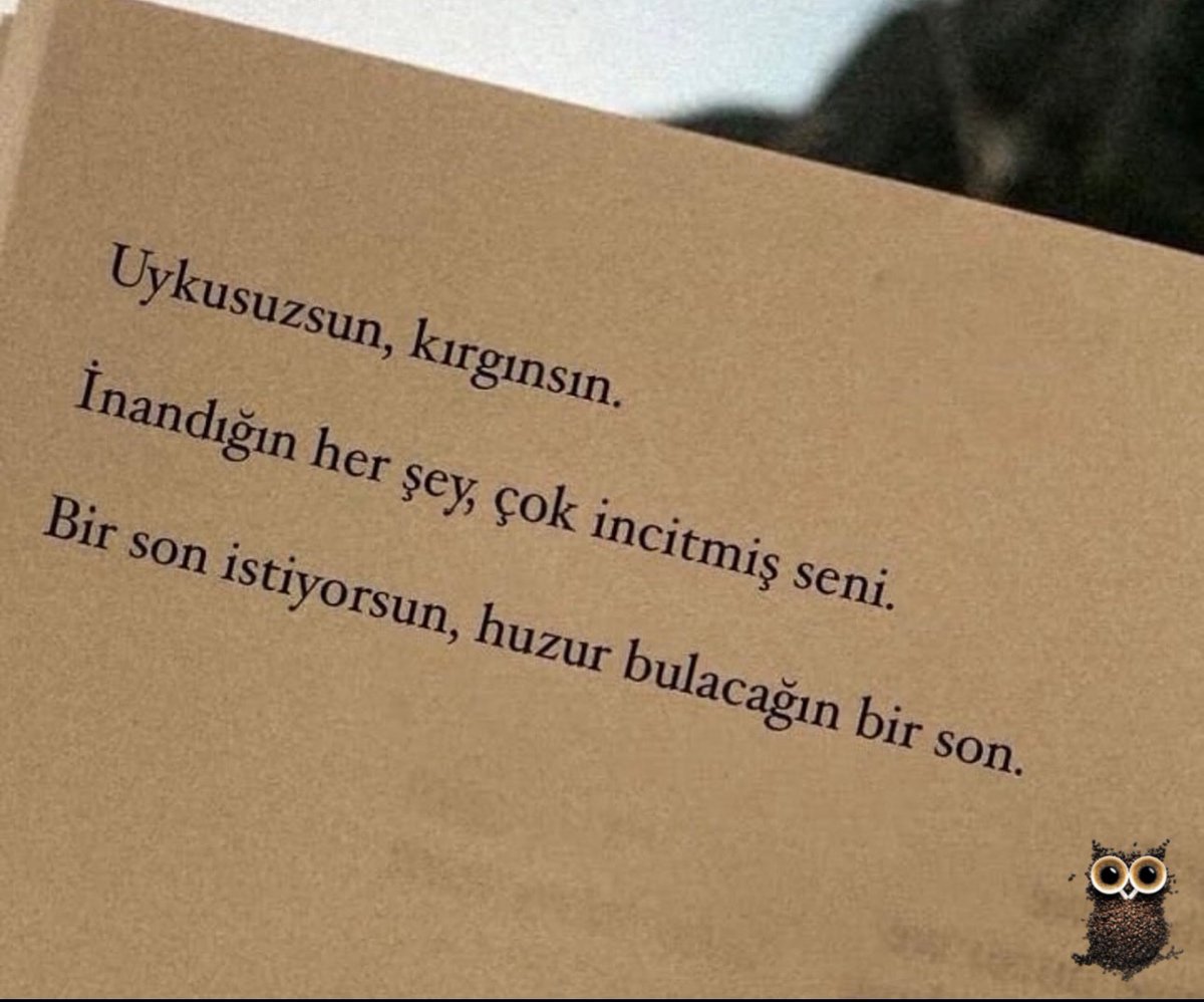 13. Burç (@13burctahmin) on Twitter photo 