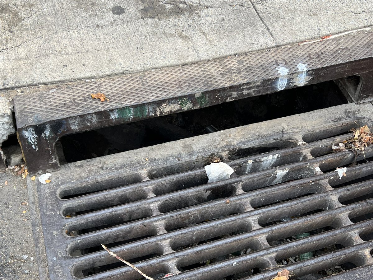 DAK what the colored paint markings are above NYC storm drains?  I assume some kind of inspection/cleaning record?