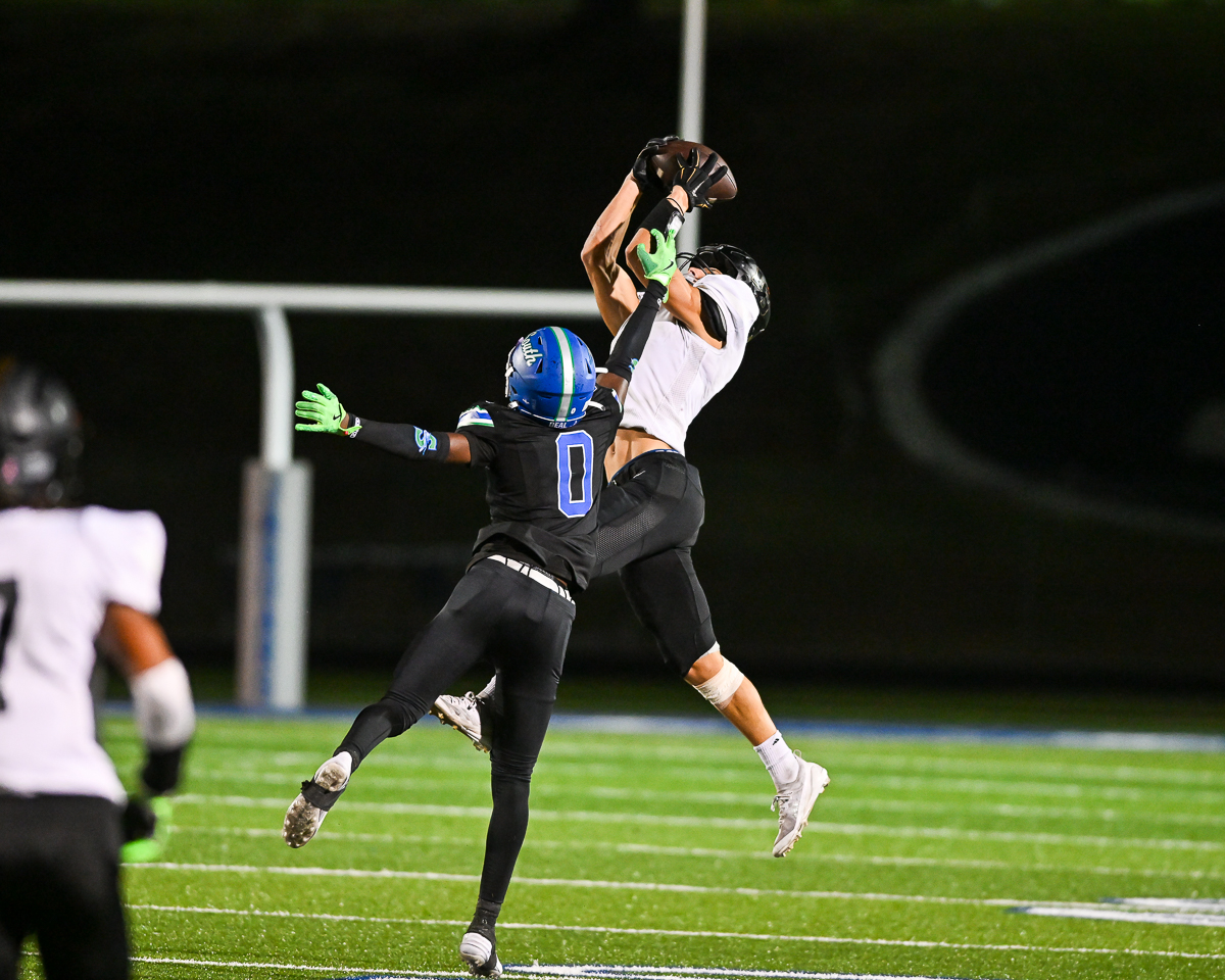 David Rainey tweet media