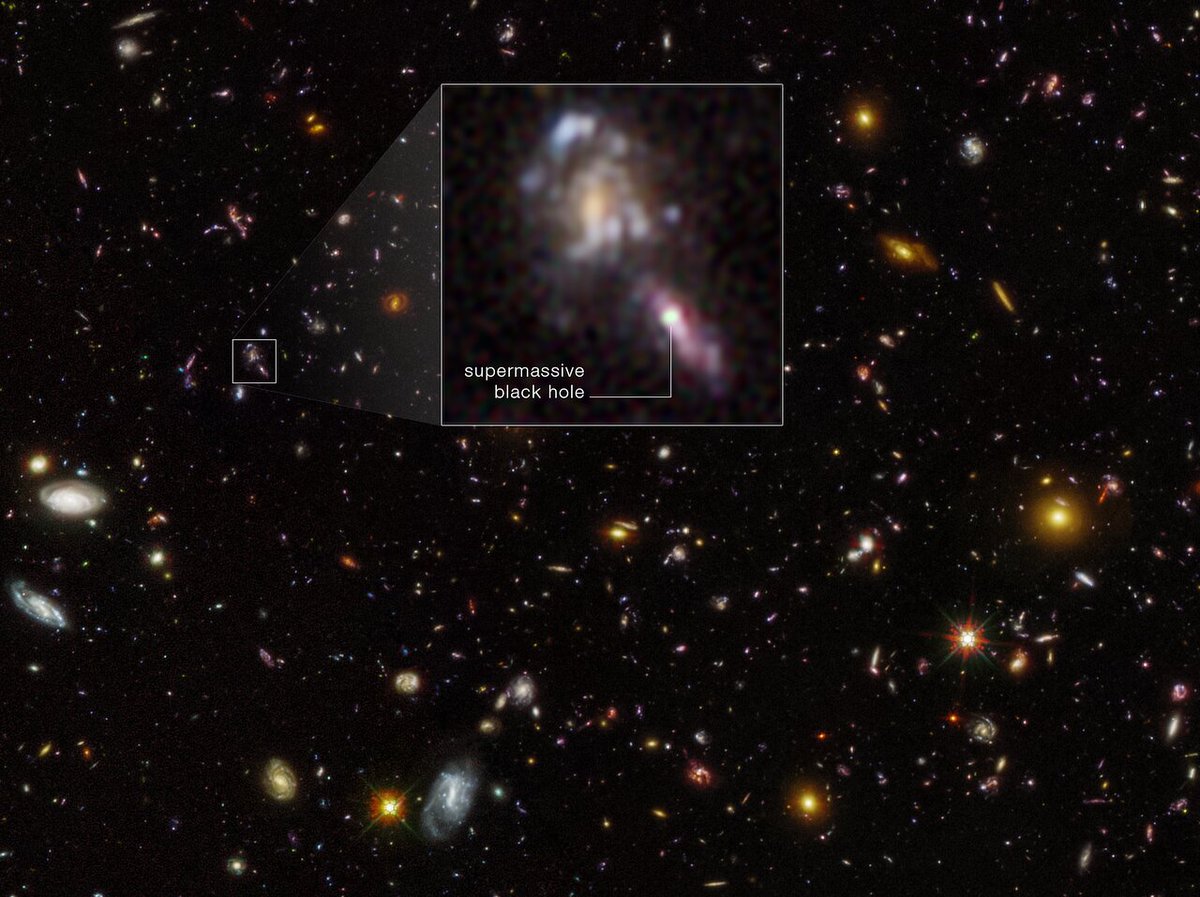 🆕 Hubble has found more black holes than expected in the early Universe! 🧵👇