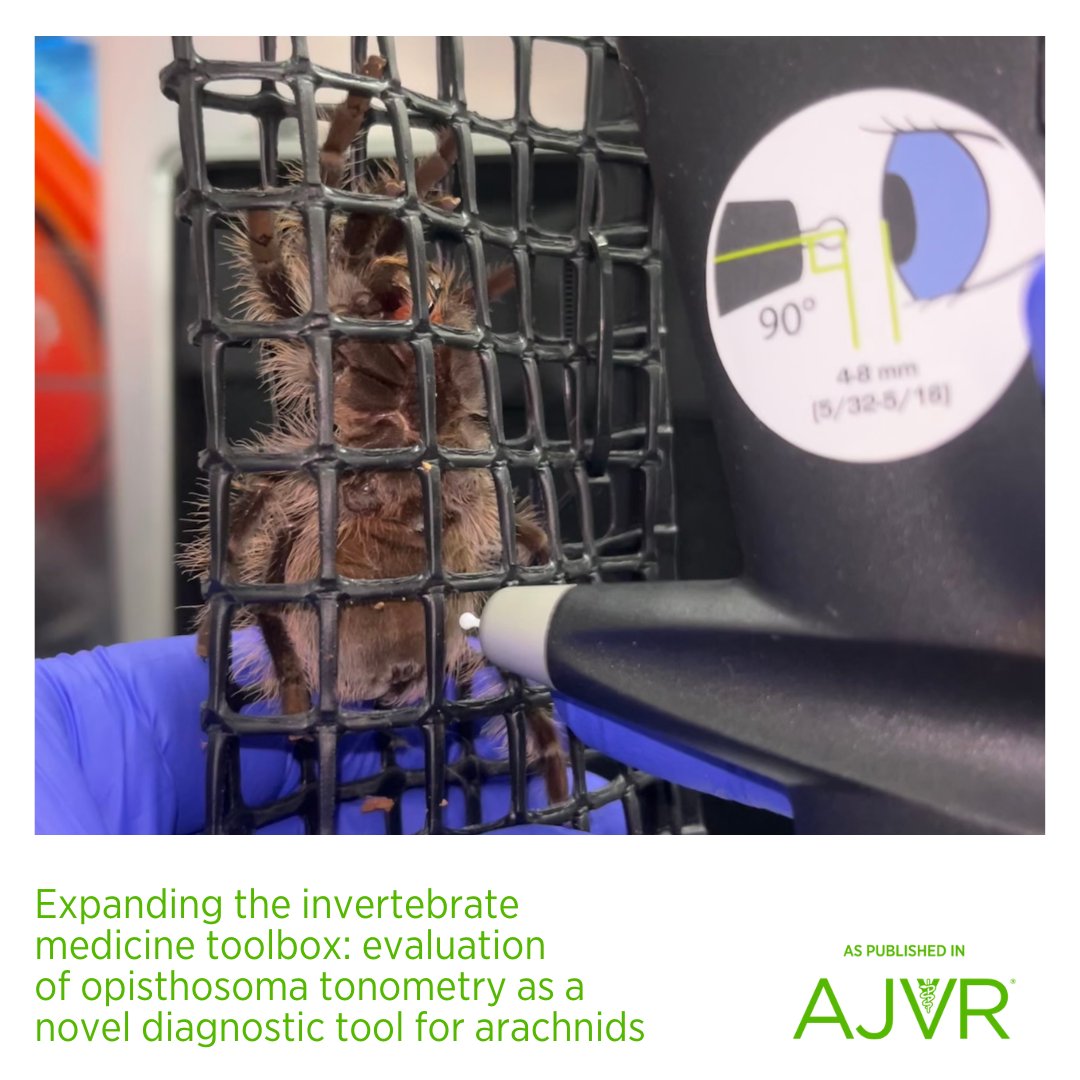 AJVROA's tweet photo. #Tonometry can be used to generally assess the estimated ventral opisthosoma pressure, which could correlate with where a spider is in an ecdysis cycle. 🕷
Open access article: https://t.co/8UlJrTyc4m @ncstatevetmed @cvmresearch @naturalsciences #invertebrate #arachnid #tonometry https://t.co/UIhLtChxCw