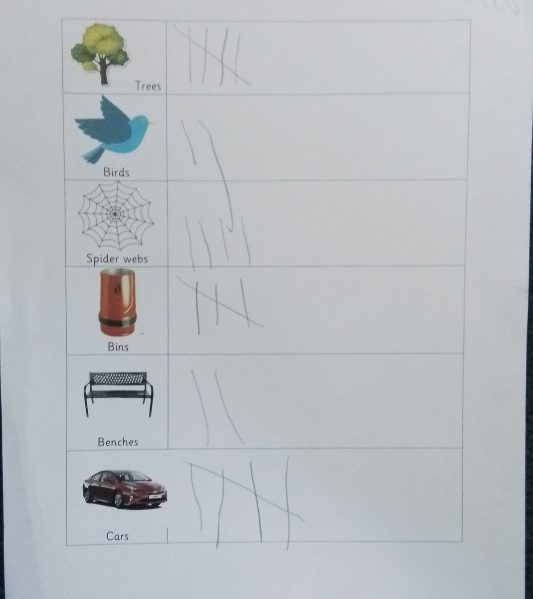 Class 1S tweet media