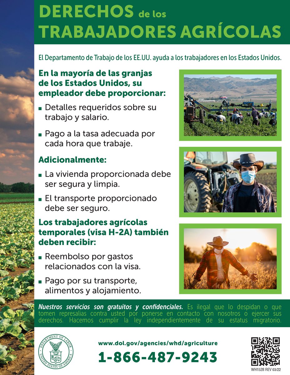WHD_DOL's tweet image. 👩‍🌾 ¿Es usted un trabajador agrícola en los EE. UU.? Tienes derechos: salario adecuado, alojamiento y transporte seguros.

Nuestra ayuda es gratuita y confidencial.

🔗 Más información: dol.gov/sites/dolgov/f…

#AquiParaTi #NFSHW24 #H2A @DOL_esp