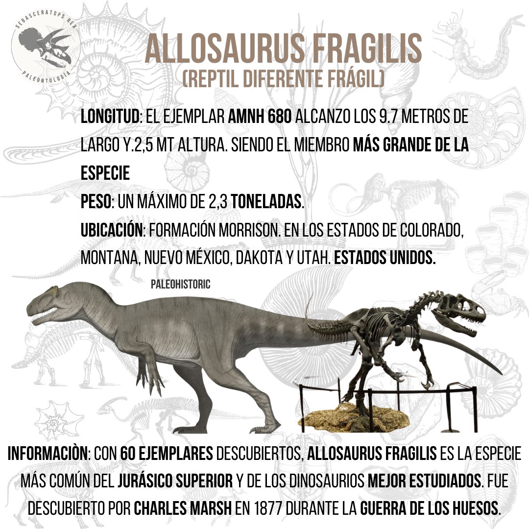 Sebasceratopsrex tweet media