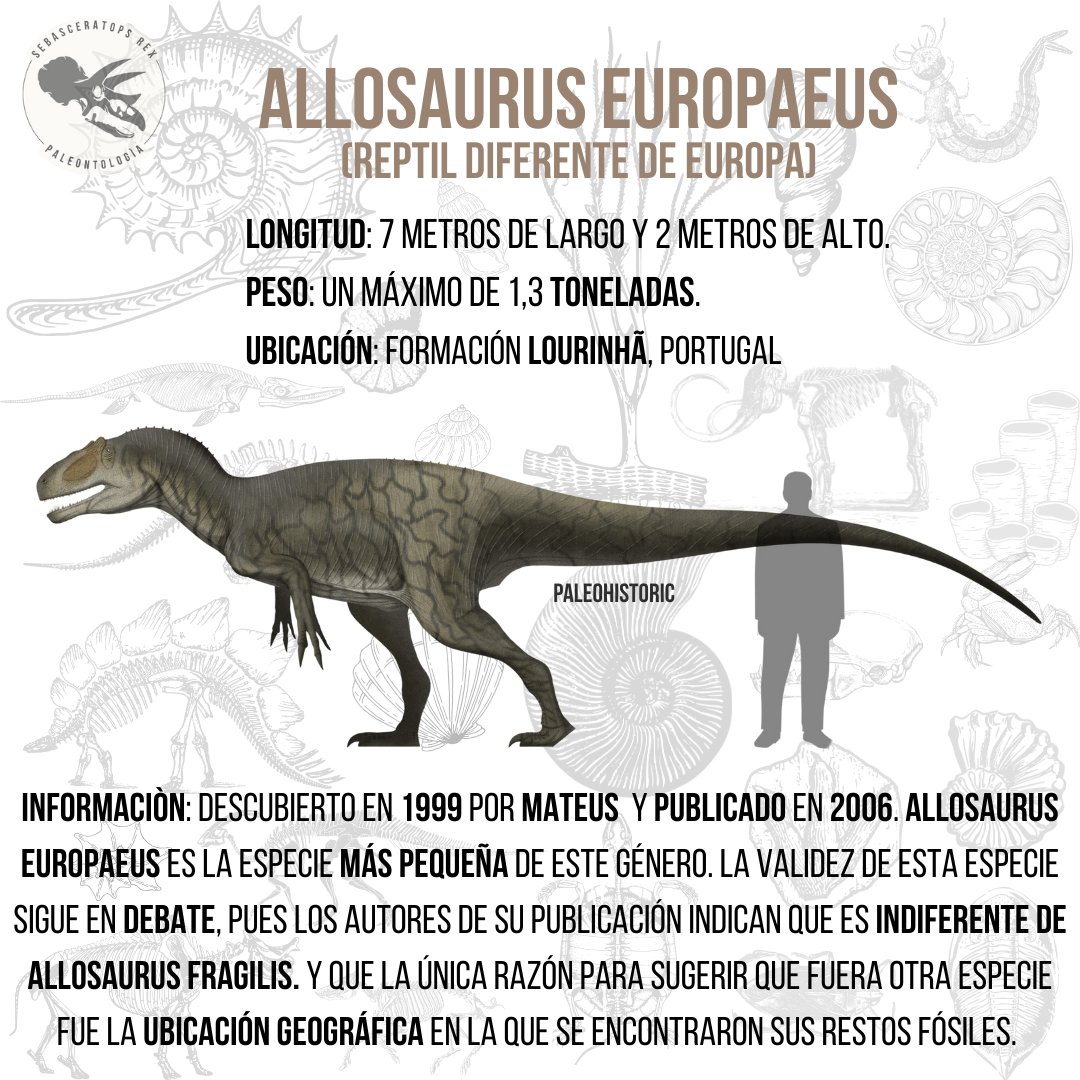 Sebasceratopsrex tweet media