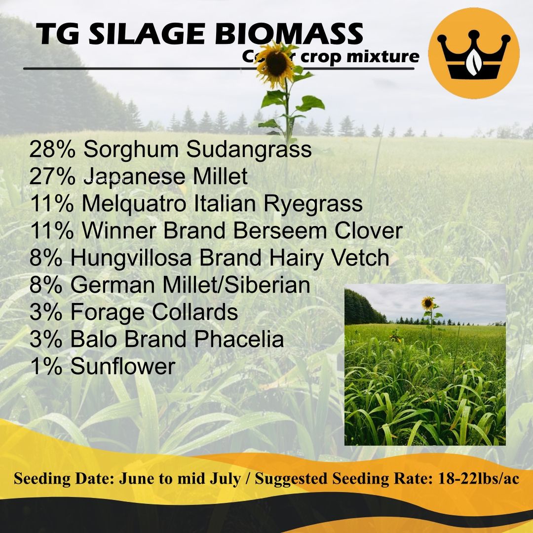 Our Silage Biomass cover crop mixture is a collection of big leafy, warm-season grasses that give silage and very good yield potential!