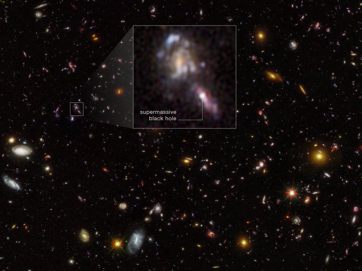 Coming back around ⏪

This is a new image of the iconic Hubble Ultra Deep Field.

By revisiting this field and comparing images, astronomers found evidence for more supermassive black holes than expected in early galaxies: go.nasa.gov/3BaCR9p