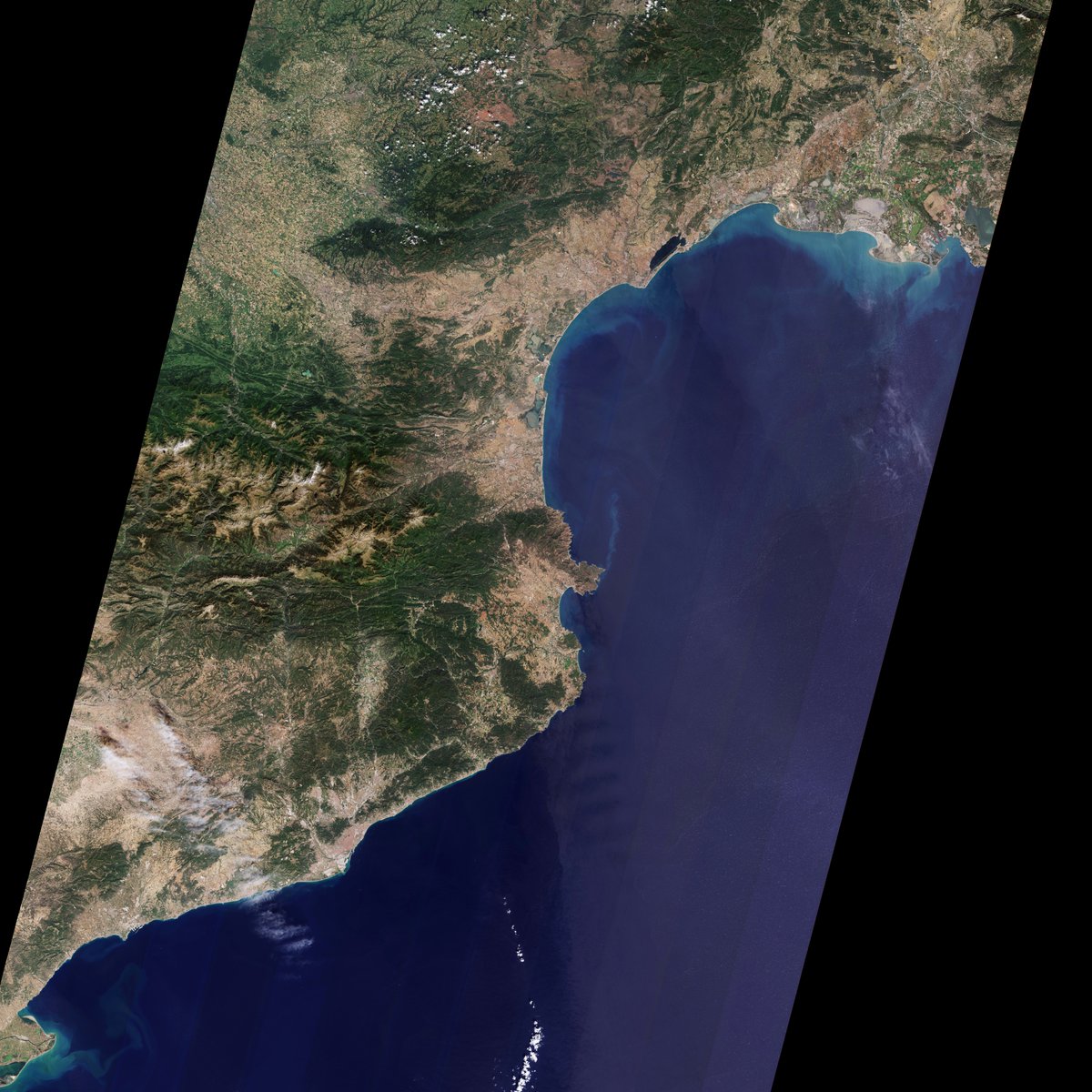 ESA Earth Observation tweet media