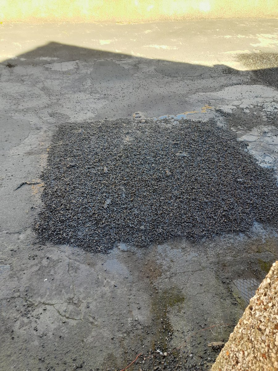 Michael Last tweet media