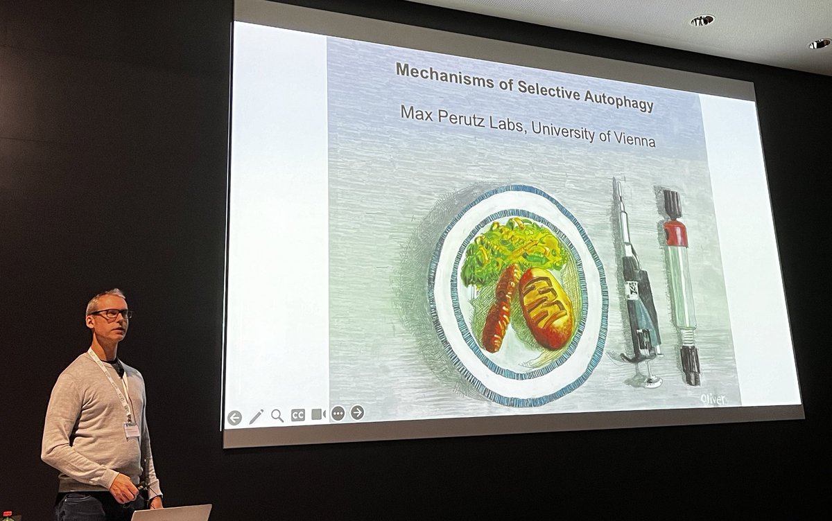 Yasin Dagdas (@plantophagy) on Twitter photo International Plant Proteostasis Conference beginning with the keynote talk of @martens_sascha telling us about Selective #autophagy #IPPC24 <a href="/viennabiocenter/">Vienna BioCenter</a> International Plant Proteostasis Conference beginning with the keynote talk of @martens_sascha telling us about Selective #autophagy #IPPC24 <a href="/viennabiocenter/">Vienna BioCenter</a>