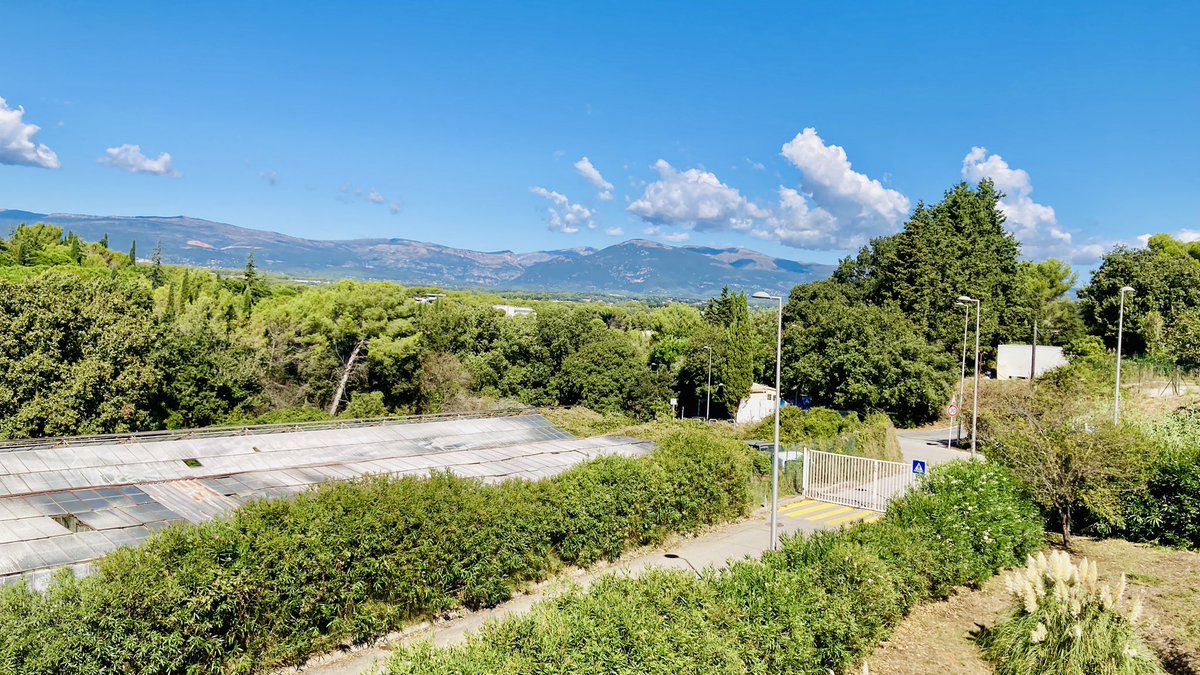 XWiik's tweet photo. Après avoir parlé hier budget 💶 &amp; travaux 🏗️ 2025, début de semaine sur le pont !

Avant la 🌧️
✅conseil de discipline ⚖️
✅visite de chantier 🚧 
✅signature ✍🏼 de parapheurs depuis mon nouveau bureau
✅Commission 🚌 mobilité avec Thierry OCCELLI à la @CASAOfficiel

#EluLocal https://t.co/TlgxPbkeAN