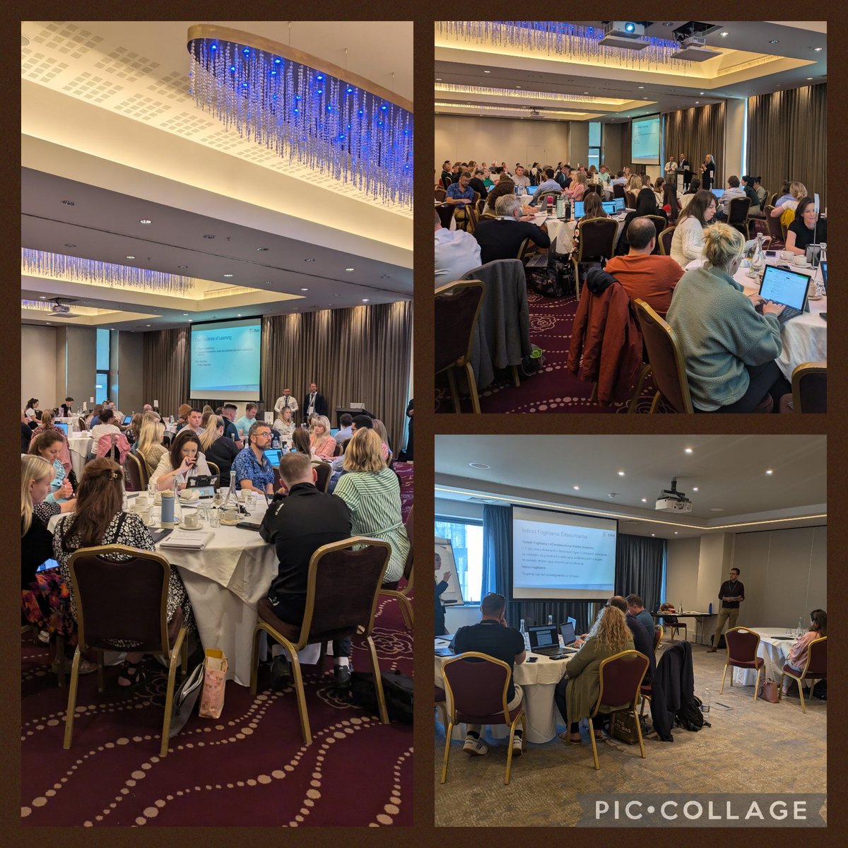 Shelly Nerney tweet media