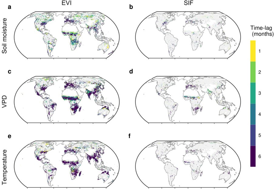 Alemu Gonsamo (@alemugonsamo) on Twitter photo Excited to share our latest paper in Geophysical Research Letters led by PhD student <a href="/XinranGao2021/">XINRAN GAO</a>. 
Humid, Warm and Treed Ecosystems Show Longer Time‐Lag of Vegetation Response to Climate
    agupubs.onlinelibrary.wiley.com/doi/10.1029/20… 
The research was supported by <a href="/NSERC_CRSNG/">NSERC / CRSNG</a> Excited to share our latest paper in Geophysical Research Letters led by PhD student <a href="/XinranGao2021/">XINRAN GAO</a>. 
Humid, Warm and Treed Ecosystems Show Longer Time‐Lag of Vegetation Response to Climate
    agupubs.onlinelibrary.wiley.com/doi/10.1029/20… 
The research was supported by <a href="/NSERC_CRSNG/">NSERC / CRSNG</a>