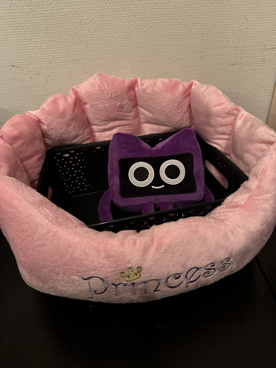 hot_girl_spring's tweet image. basket kitty