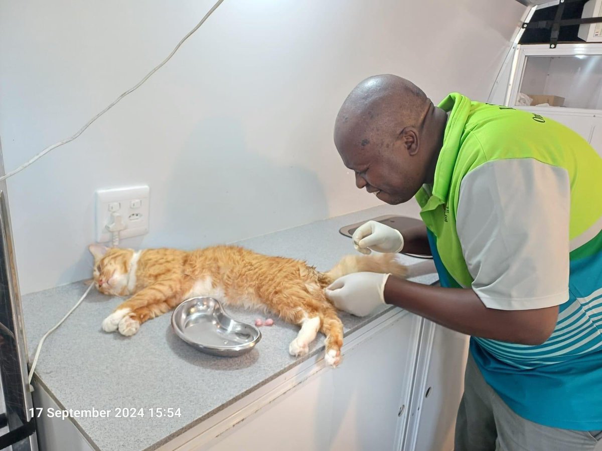 💉KOINGNASS COMMUNITY UNITES AGAINST THE SCOURGE OF RABIES 
Rabies outbreak West Coast of Namakwa prompt Dept’s successful Rabies Vaccination Drive &amp; Spaying Campaign.The Koingnaas community showed in numbers.#DAERL officials attended 120 cats &amp; dogs. #rabiesawareness #Spaying