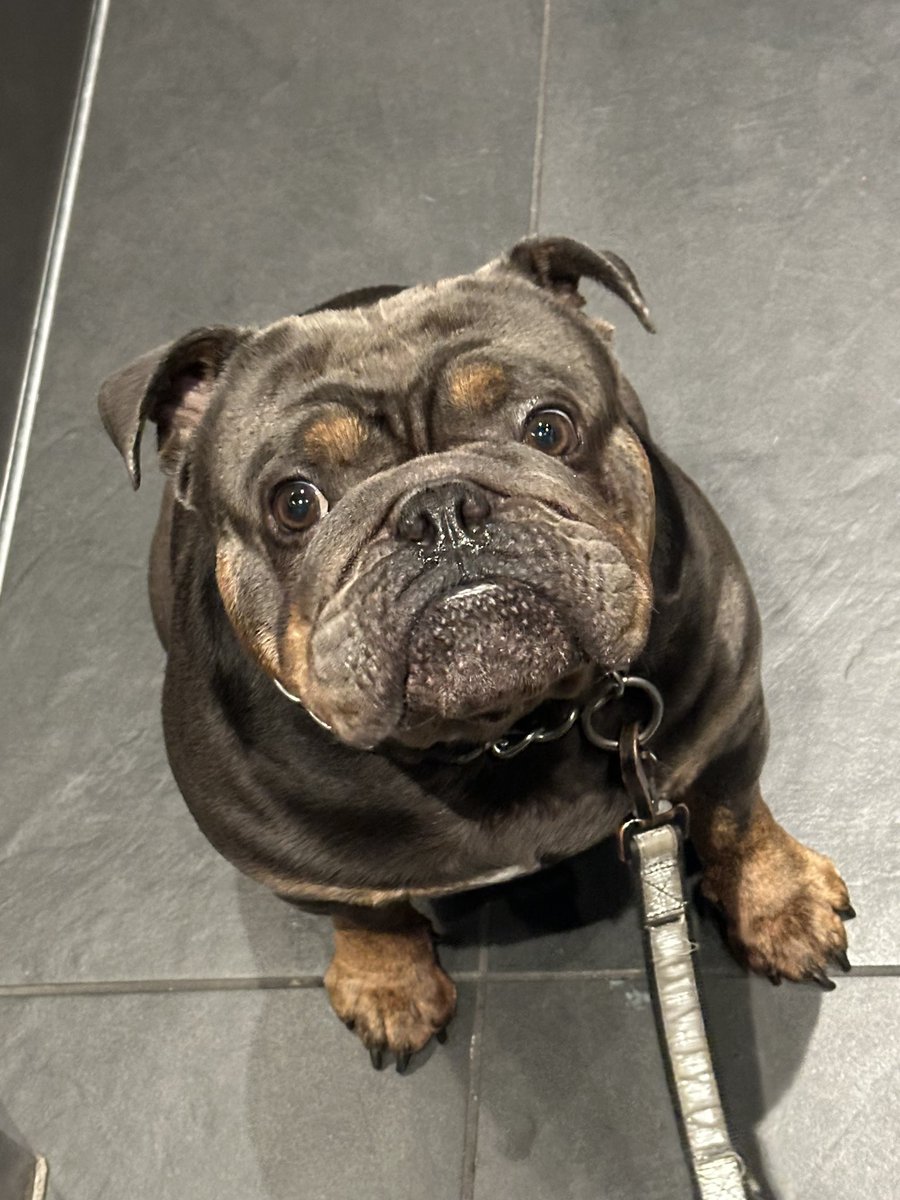 Sister Mary Clarence tweet media