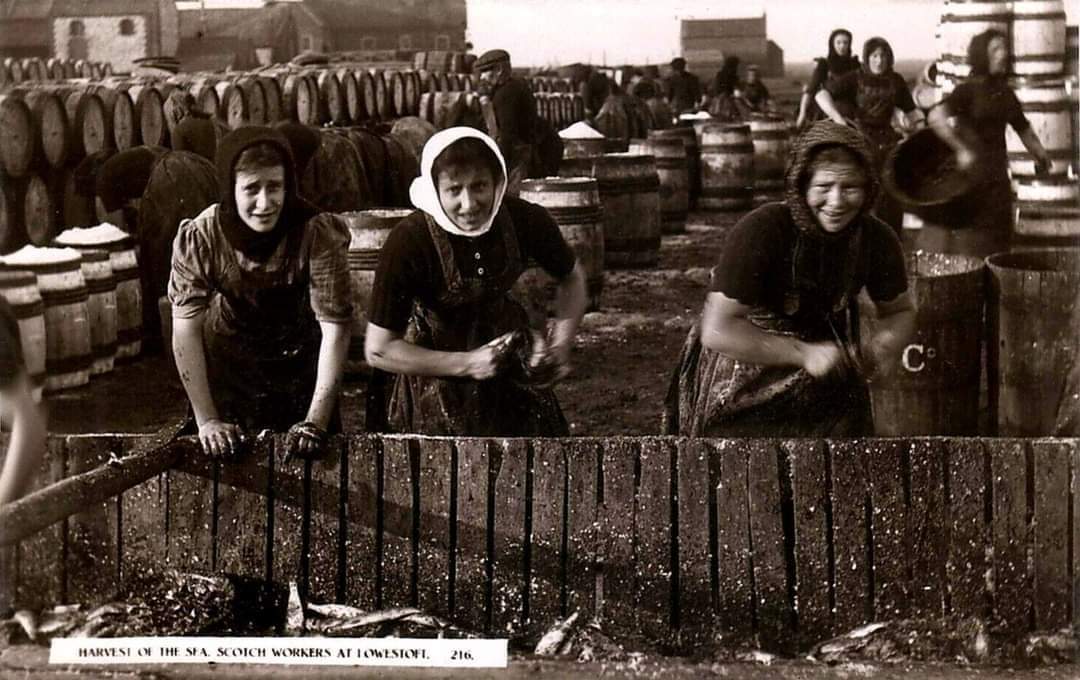 Lowestoft Maritime (@lmaritime) on Twitter photo ** Breaking News **
Due to popular demand and the success of our special Scots Fisher Girl exhibition for <a href="/heritageopenday/">Heritage Open Days</a> we will be extending this exhibition to Saturday 26th October when we come to the end of the 2024 season.
Photo credit: Russell Walker ** Breaking News **
Due to popular demand and the success of our special Scots Fisher Girl exhibition for <a href="/heritageopenday/">Heritage Open Days</a> we will be extending this exhibition to Saturday 26th October when we come to the end of the 2024 season.
Photo credit: Russell Walker