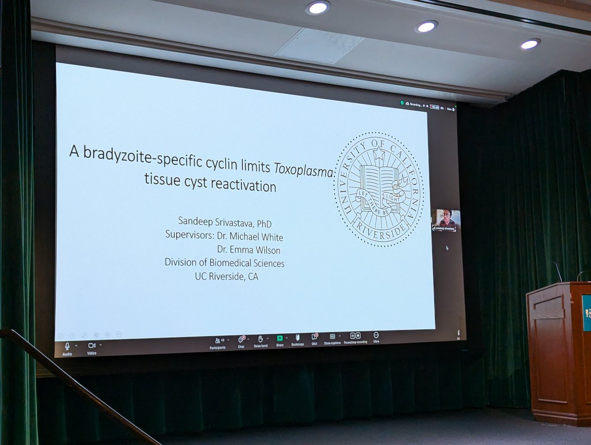 PEERs in Parasitology (PiP) (@piparasitology) on Twitter photo Dr. Sandeep Srivastava from Dr. Michael W. White at the University of California, Riverside is closing the session VII #MPM2024 talking about bradyzoite-specific cyclin limits Toxoplasma tissue cyst reactivation <a href="/parasitesrule/">parasitesrule</a> Dr. Sandeep Srivastava from Dr. Michael W. White at the University of California, Riverside is closing the session VII #MPM2024 talking about bradyzoite-specific cyclin limits Toxoplasma tissue cyst reactivation <a href="/parasitesrule/">parasitesrule</a>