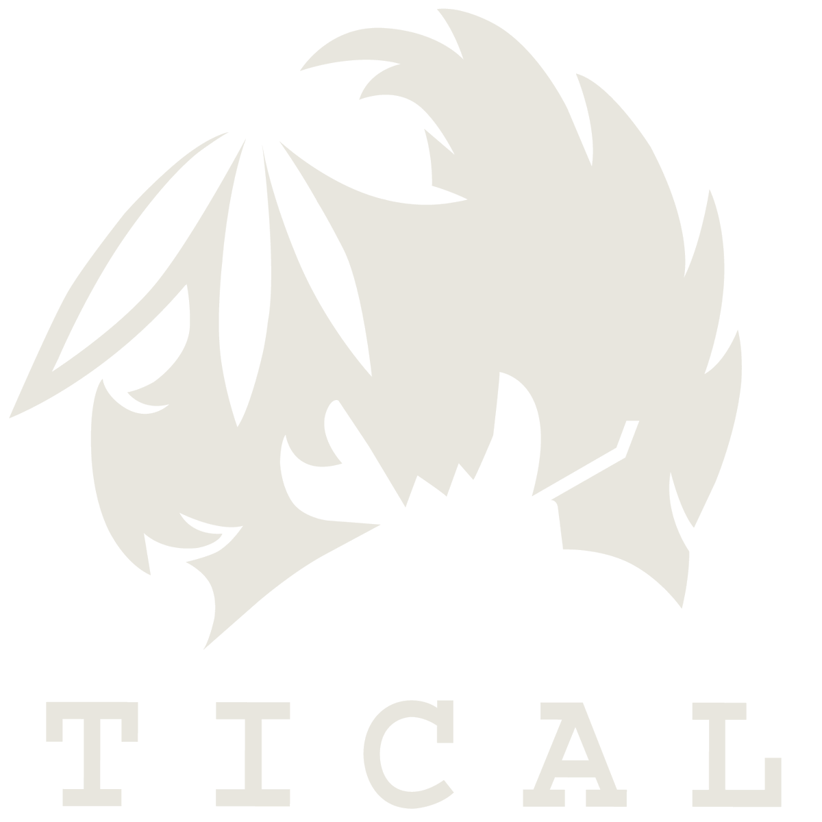 Come see us today on Tical Tuesday! BOGO 1/2 off! #tical #tuesdayvibe #denverco #Highlands