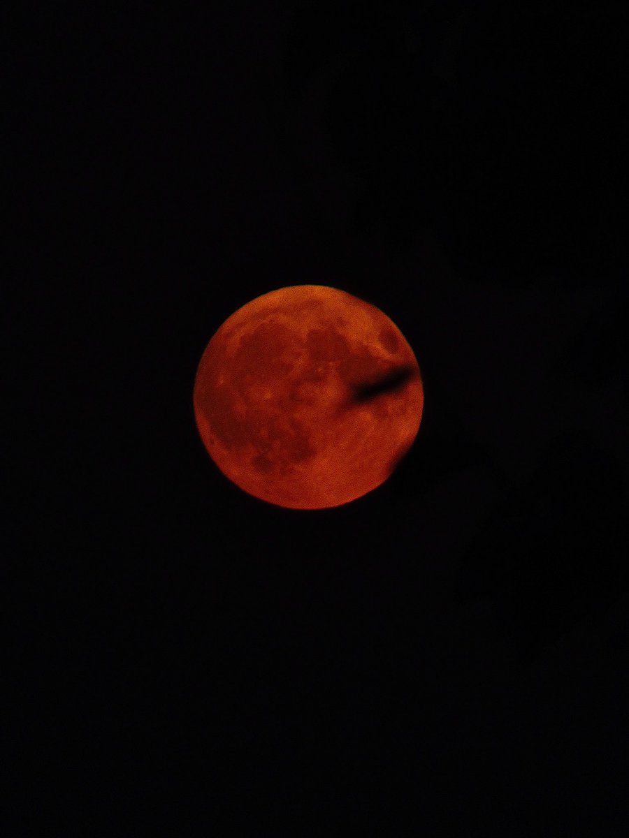 ametoilee's tweet photo. orange moon https://t.co/RaatLXOAMv