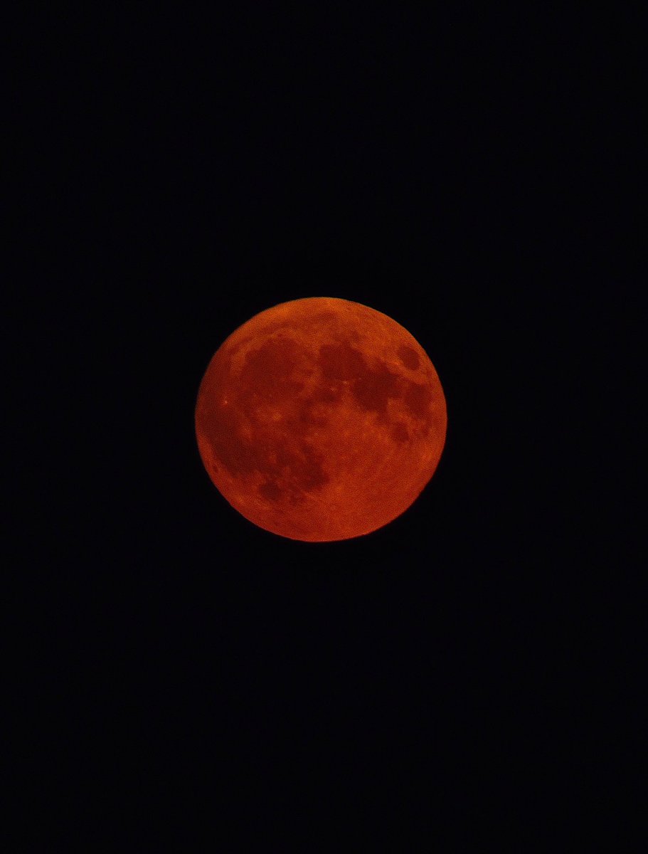 ametoilee's tweet photo. orange moon https://t.co/RaatLXOAMv