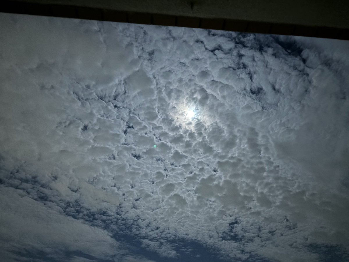 これって何雲なんだろ🤔