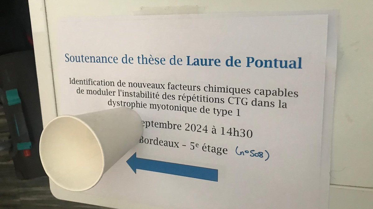 Centre of Research in Myology (UMRS 974) (@researchmyology) on Twitter photo Et aujourd'hui, félicitations à Laure de Pontual pour sa thèse dirigée par <a href="/TomeStephanie/">Stéphanie Tomé</a> dans l'équipe REDs Repeat Expansions & Myotonic Dystrophy
🧬Les répétitions CTG et leur modulation dans #DM1
<a href="/SMyologie/">SFMyologie</a>
<a href="/FRM_officiel/">Fondation pour la Recherche Médicale</a>
<a href="/FaculteSanteSU/">Faculté de Santé de Sorbonne Université</a>
<a href="/InsermIDF/">Inserm Île-de-France</a>
<a href="/Inst_Myologie/">Institut de Myologie</a>
<a href="/FurlingD/">Furling Denis</a> Et aujourd'hui, félicitations à Laure de Pontual pour sa thèse dirigée par <a href="/TomeStephanie/">Stéphanie Tomé</a> dans l'équipe REDs Repeat Expansions & Myotonic Dystrophy
🧬Les répétitions CTG et leur modulation dans #DM1
<a href="/SMyologie/">SFMyologie</a>
<a href="/FRM_officiel/">Fondation pour la Recherche Médicale</a>
<a href="/FaculteSanteSU/">Faculté de Santé de Sorbonne Université</a>
<a href="/InsermIDF/">Inserm Île-de-France</a>
<a href="/Inst_Myologie/">Institut de Myologie</a>
<a href="/FurlingD/">Furling Denis</a>