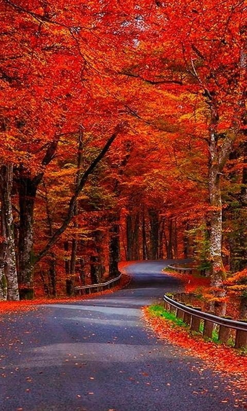 OurinIza's tweet photo. Beautiful September 😍 https://t.co/O98nwBy7Nj