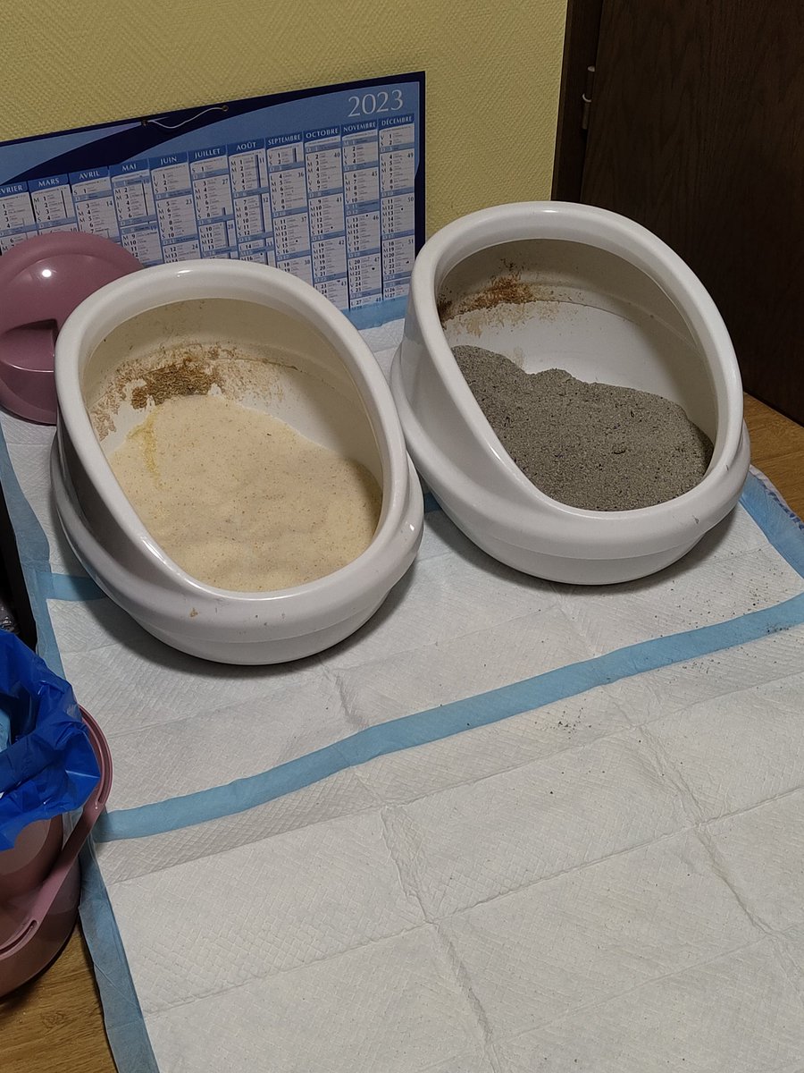 Alfinium tweet media