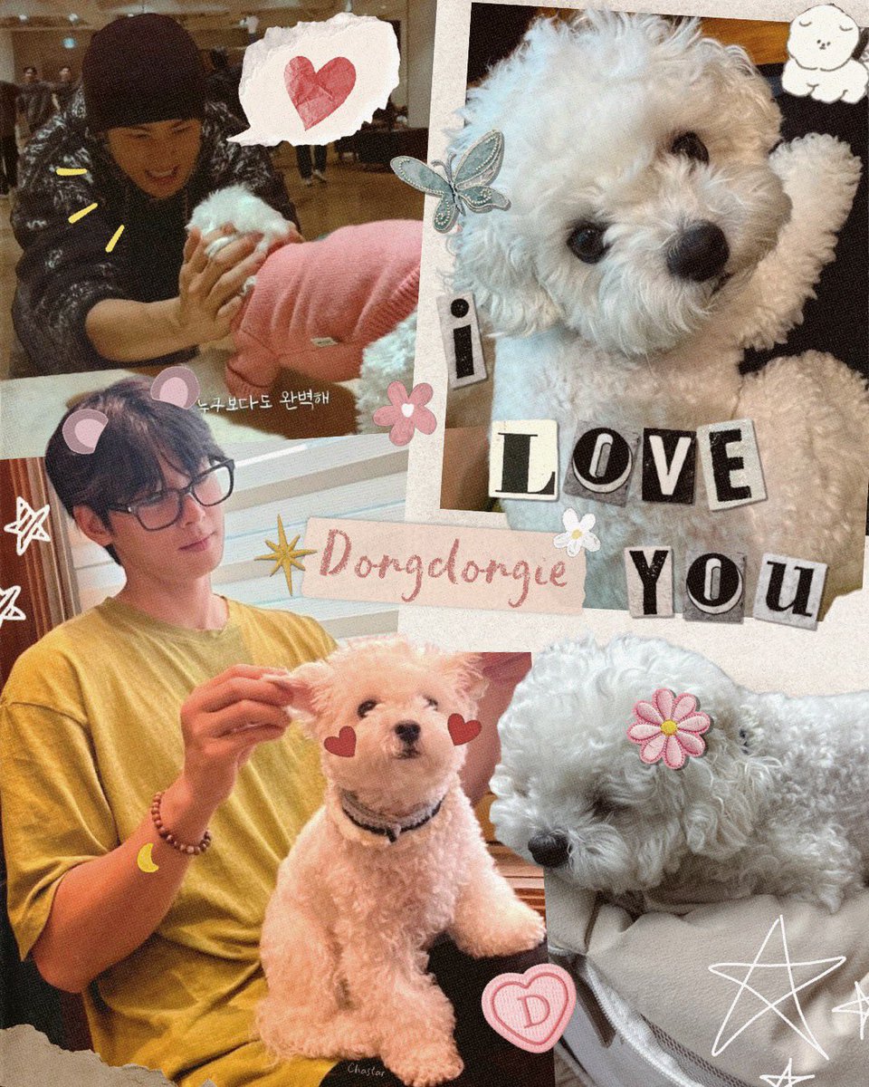 rosy_chastar's tweet photo. Dongdongie 💖✨🐾

#차은우 #CHAEUNWOO https://t.co/g6LgIFitrs