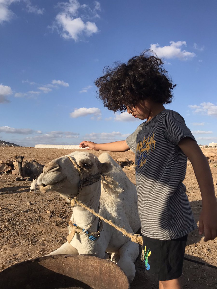 كان يوم جميل 🐪🌷