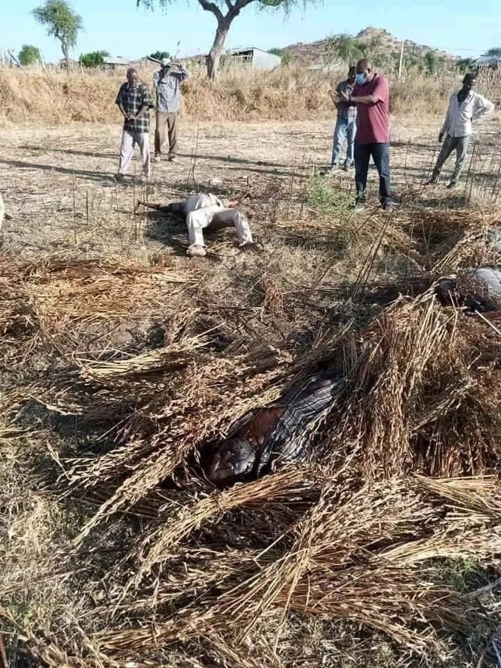 DehabSarj's tweet photo. NEVR FOR GET 💔 Tigray Genocide 💔 justice 4Tigray 💔 https://t.co/s2myOWz50u