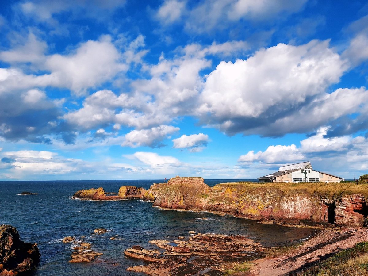 Amber Regis tweet media