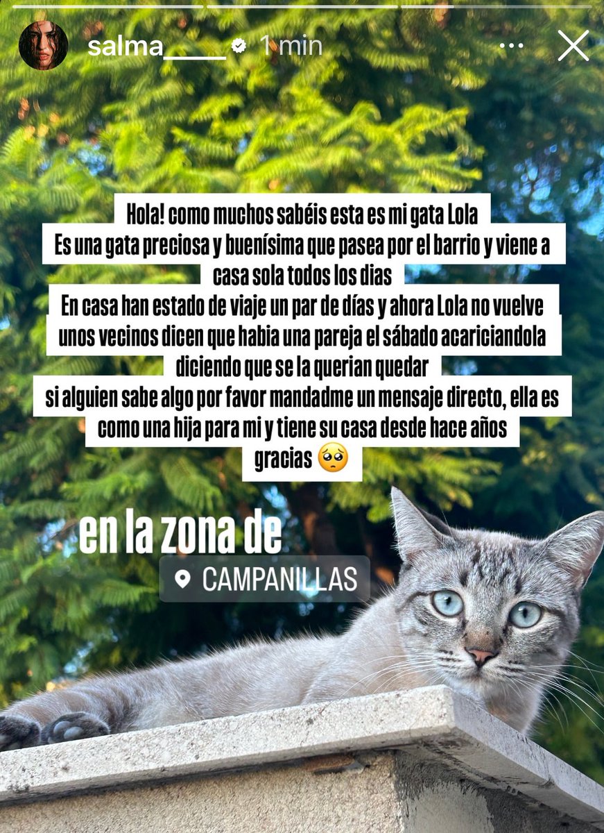 tasboboque's tweet photo. si podéis difundir esto por aquí y por instagram también!!! 🫂 ojalá vuelva a casa prontito:( https://t.co/UrQzl9sdMm
