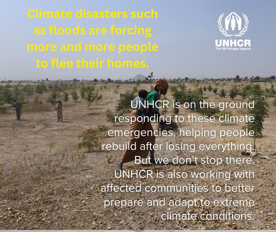 RefugeesCmr's tweet image. "Here are a few facts to note about floods in the Far North region and how @RefugeesCmr is supporting relief efforts..."