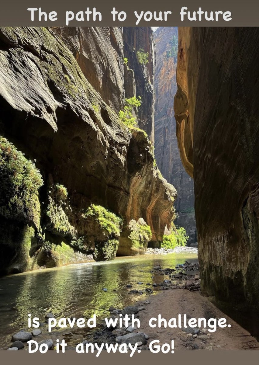 lmporreca's tweet image. #artbusiness #creativityprocess