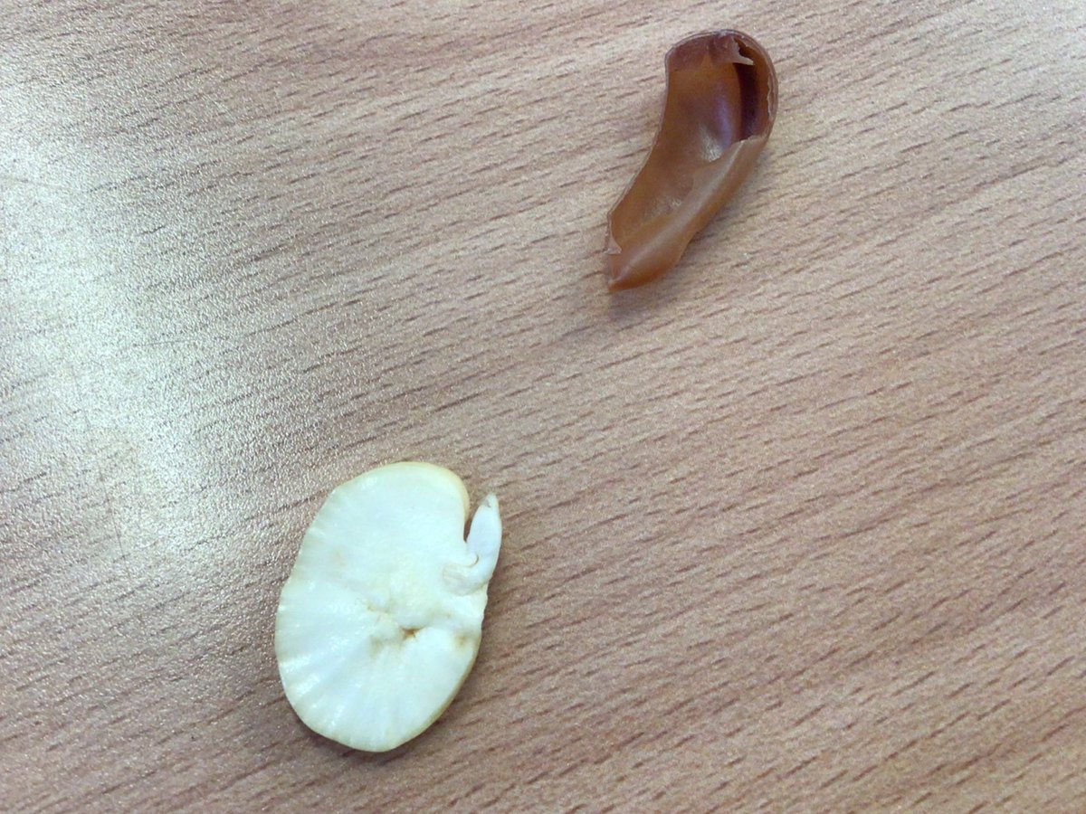 Faye Webster tweet media