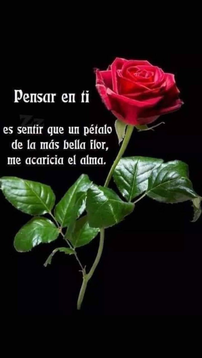 #ElAmorTuYYo