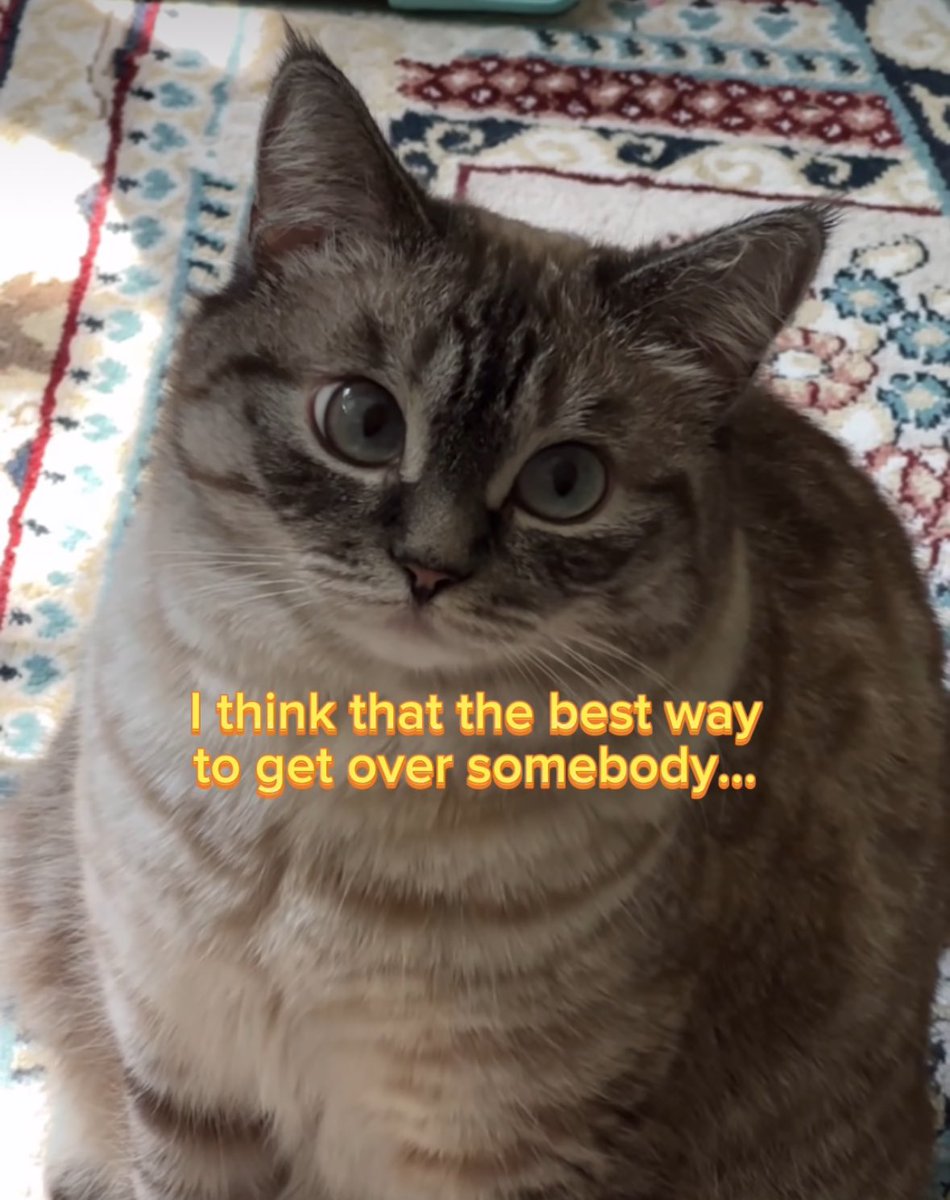 Blondieee tweet media