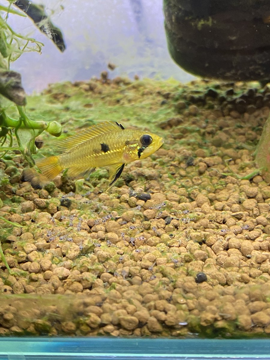 浮上！！
できるだけ多く残ってほしい。。。