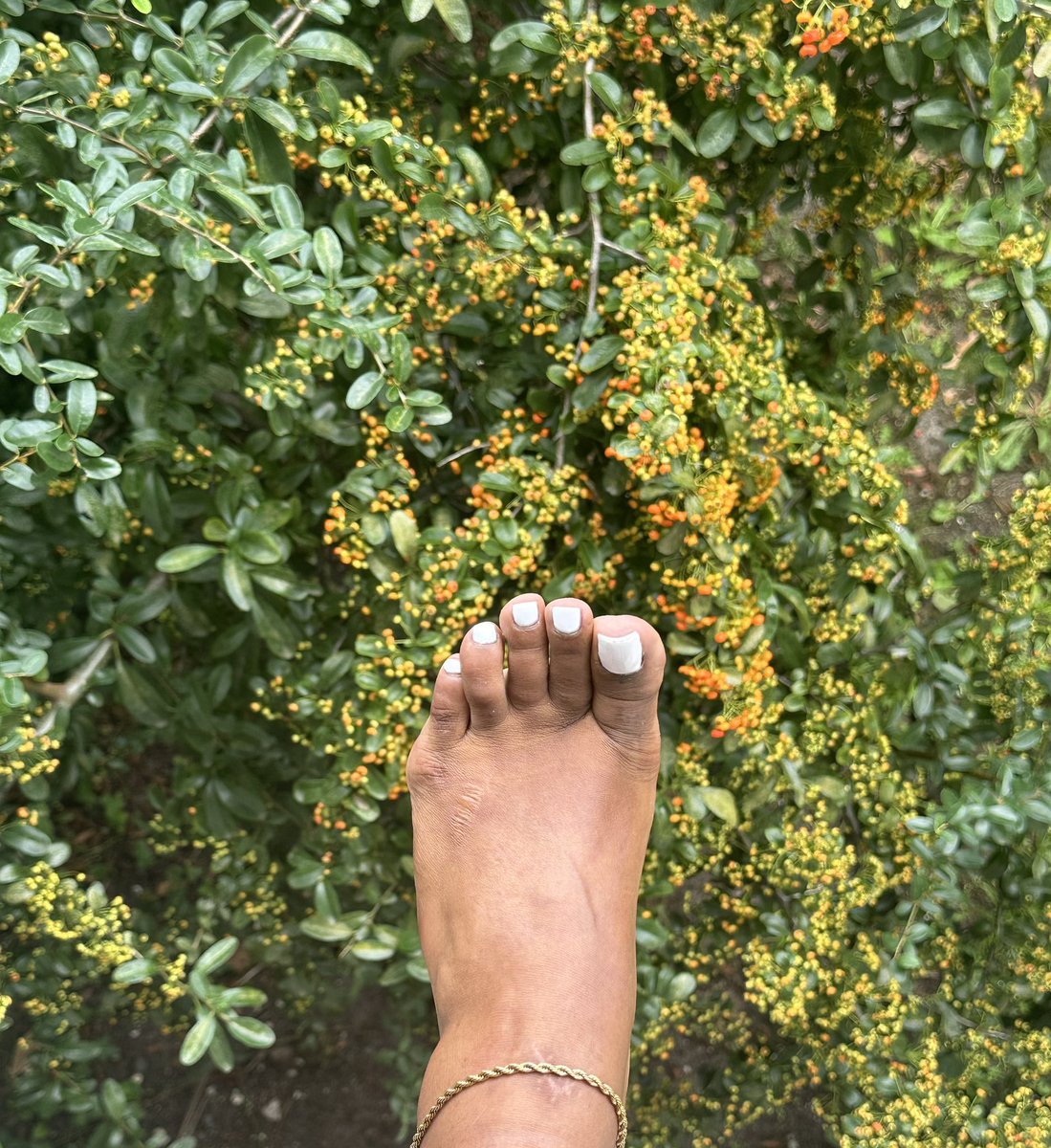 Jaaayfeet's tweet photo. Fruity toes 

#MoneySlaver #findomaddicted  #toes #foot https://t.co/voKZR4O3X5