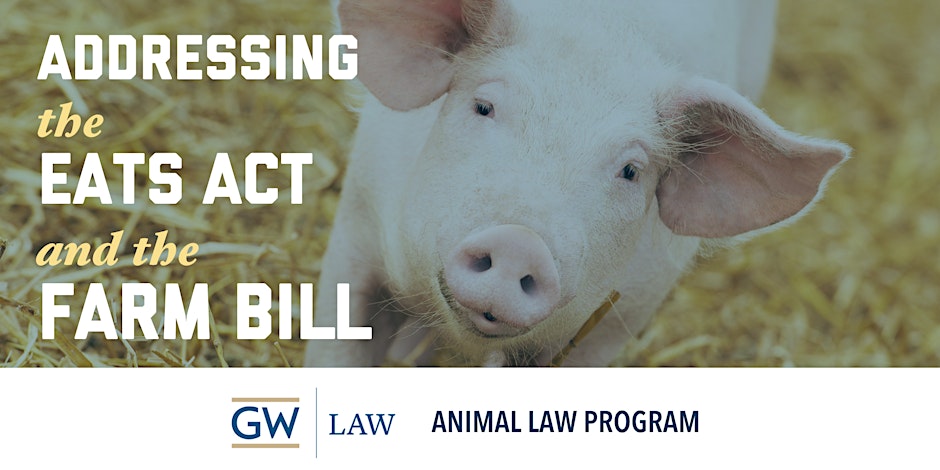 Join <a href="/gwlaw/">GW Law</a> tomorrow for a panel discussing the EATS Act, the Farm Bill, and the efforts to undermine the Supreme Court’s ruling in the Prop 12 case. The panel will be followed by a networking opportunity.
eventbrite.com/e/addressing-t…
<a href="/FarmActionFund/">Farm Action Fund</a> <a href="/ALDF/">ALDF</a>