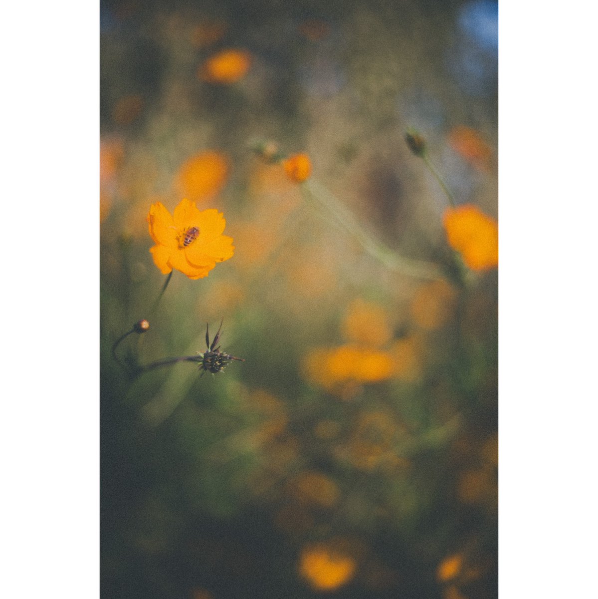 Mori (@cooom_1525) on Twitter photo 