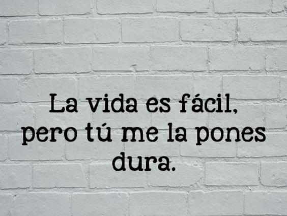 Leudis Torres (@leudistorres0x) on Twitter photo 