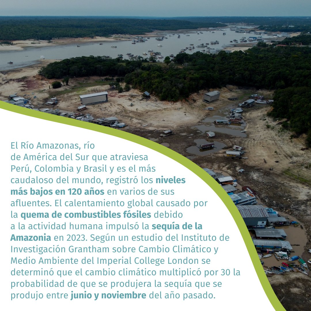 participa_pe's tweet photo. 🤔💭¿Sabías qué?... El río Amazonas atraviesa un fuerte golpe debido al impacto del calentamiento global, impulsado por la quema de combustibles fósiles y la actividad humana, fue el principal motor de esta sequía devastadora.
(1/3)
#CambioClimático #RioAmazonas #ParticipaPe https://t.co/MNNDxIcNp6